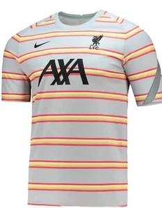 Nike Liverpool Football Club Men’s Pre-Match Performance Raglan Top Gray Size S - Picture 1 of 11