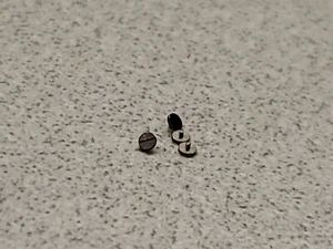 Lote de 4 tornillos Chaton Bulova Accutron 214 NOS - Imagen 1 de 2