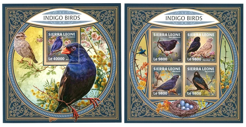 STE869 Sierra Leone 2017 MNH 2 Sheets High CV Fauna Indigo birds - Image 1 of 1