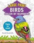 Large Print Color by Numbers Birds: Easy-to-Read (Sirius Large Print Colo - GOOD