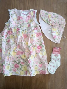 NWT Toddler Girls Gymboree Spring Floral Lined Dress 3T Hat Socks Retail $49 - Picture 1 of 5