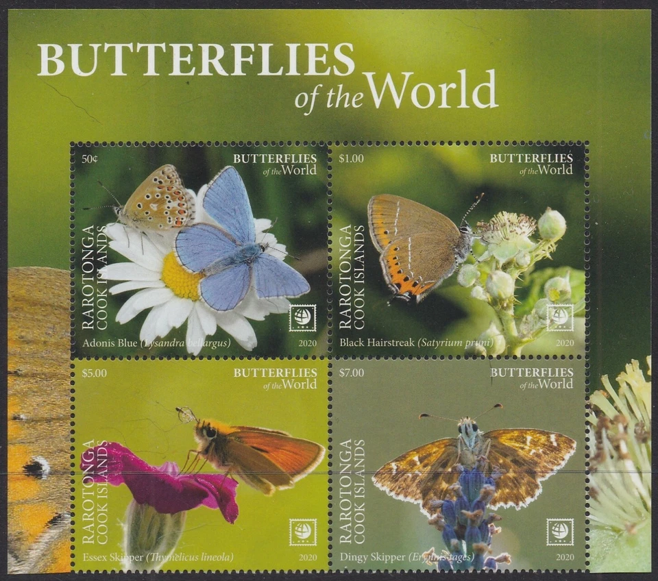 Rarotonga (2020) Butterflies of the World, Part I, Large Stamp - BK/4, Top - Image 1 of 1