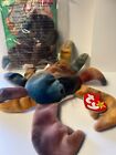 TY Beanie Babies:  Claude the Crab 1996 with Baby Claude 1999, both new w/tags