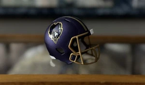 Baltimore Ravens Alternate Pocket Pro Football Helmet Limited Edition 1 of 2000 - Picture 1 of 4
