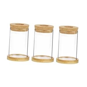 3Pcs Glass Flower Vases Propagation Jars Modern Stable Clear Plant Terrarium for - Picture 1 of 15