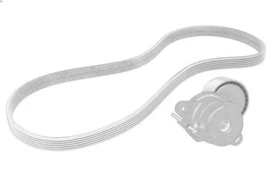 Peugeot 1631627780 Poly V OE V-Strap Set for 301 1.5 2018- - Image 1 of 4