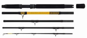 WFT Never Crack Big Cat 5tlg. Waller Wels Angelrute 2,60m 200-1000g