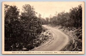 Near The Top Of Cumberland Plateau At Monteagle Tennessee TN Postcard Albertype - Picture 1 of 3