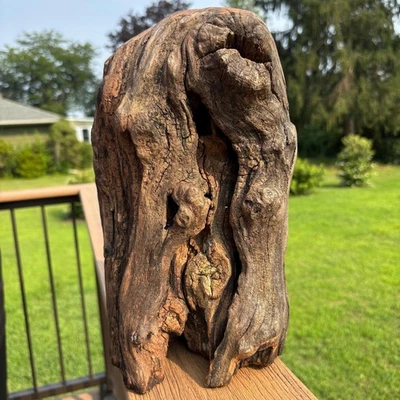 密集硬木漂流木 12x8x9 - 8 磅实心片带空心装饰或背心 — 第 1/4 张图片