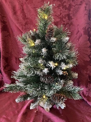 2' Frosted Pine Artificial Christmas Tree, Clear LED, Pinecones, Burlap Base - Image 1 of 4
