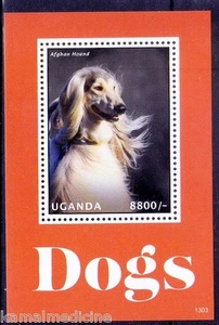 Uganda 2013 postfrisch MS, Hunde, Nutztiere, Afghan Hound - Bild 1 von 1