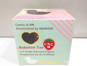 Orchideensamen Kokuten Tae Erdbeere 1/7 Scale Figur Comic Aun Inuburo gebraucht Japan - Bild 1 von 5