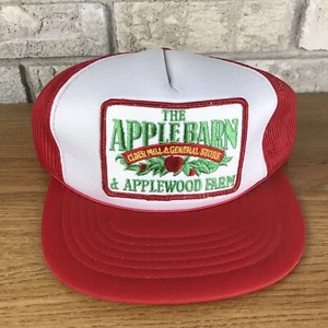 Vintage 80s 90s Youngan Snapback Hat Trucker Mesh Cap Apple Barn Farm Vtg 2 tone - Picture 1 of 8