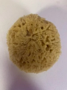 Natural Premium Sea Wool Bath Sponge, 5 FORM whole sponge Gorgeous! - Picture 1 of 2