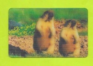 Carte Cora / Match - N°11/44 - Marmotte à ventre jaune - Picture 1 of 2