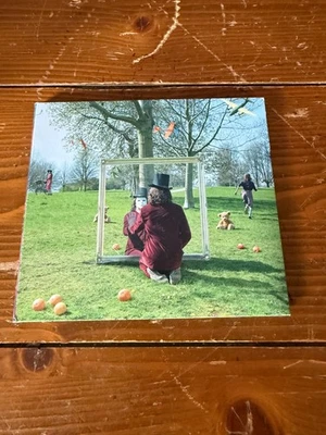 Syd Barrett/Pink Floyd - An Introduction To Syd Barrett CD Foto 1 de 2