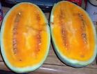 50 TENDERSWEET ORANGE WATERMELON Citrullus Lanatus Fruit Melon Seeds