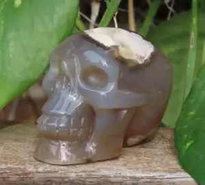 Unique Stunning Polished Flower Agate Crystal Skull 65mm Long 212Grams 50mm Tall - Picture 1 of 11