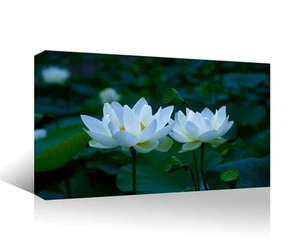 Wewejia Flower Canvas Print Wall Art-Closeup of Lotus Waterlilies White Natur... - Picture 1 of 6