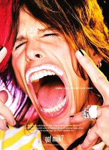GOT MILK? AD 2002 STEVEN TYLER ~ MAKE YOUR BONES ROCK HARD ~ AEROSMITH - Picture 1 of 1