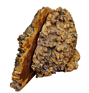 Burl Wood Bookends Rustic Wooden Logs Sculpture Gothic Goblin Books Gnarly Ugly - Bild 1 von 14