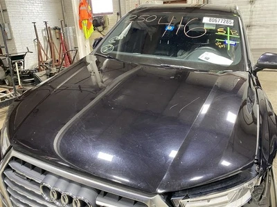 HOOD 2018 Q7 AUDI Blue 1426219 Foto 1 de 4