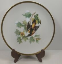 Hutschenreuther Baltimore Oriole From the Drawings Of Audubon 8" Salad Plate 