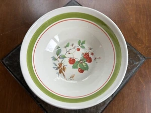 Vintage CCC Mixing Bowl Made In Italy Wild Raspberry Motif 10” - Picture 1 of 7