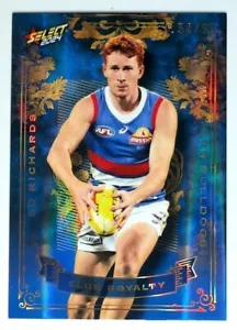 2024 Select AFL Club Royalty CR88 Ed Richards Bulldogs Western 54/99 - Imagen 1 de 3