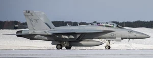 Boeing EA-18G Growler VAQ-135 Black Ravens 2021 Mahogany Model Small Scale 1/72 - Picture 1 of 11