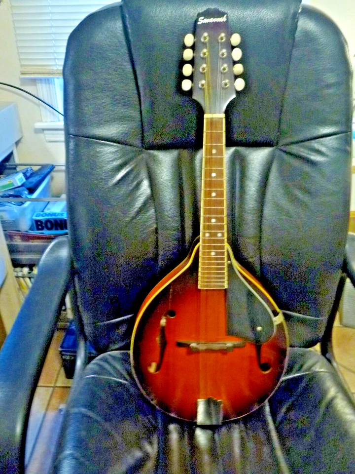 Savannah Model SA-120 All Solid Wood Mandolin, Spruce and Maple - Image 1 of 4