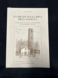 Un Prato Sulla Riva Dell’Agogna. Storia Della Città Di Borgomanero Dalle Origini - Bild 1 von 1