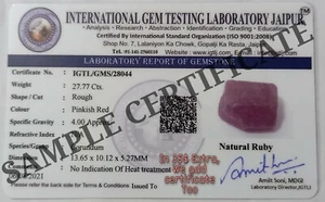 Certificado - Imagen 1 de 1