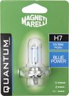 Magneti Marelli H7 lampadina singola auto blue power 12V 55W attacco PX26d MAGNE