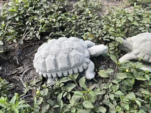 Used Latex/fiberglass Mold. Make Concrete Or Plaster 6.5โ Box Turtle ๐ข - Picture 1 of 17