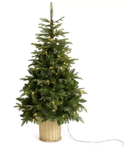 Albero di Natale Habitat 5 piedi pre illuminato premium aspetto naturale cesto 110 LED 7221945 - Foto 1 di 5
