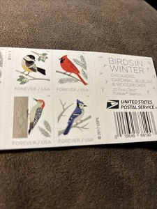 Scott 5320 VÖGEL IM WINTER Heft mit 20 Forever Briefmarken - Bild 1 von 2