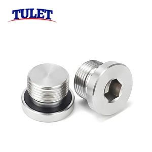 Hydraulic Allen Hex Socket Head Blanking Plugs with Seal Metric & BSP Thread - Picture 1 of 36