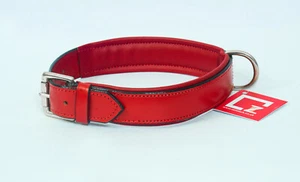 CUELLO LISO DE CUERO PERRO LATÓN TOTALMENTE ACOLCHADO (CROMADO) MONTAJE EN 6 COLORES - Imagen 1 de 13