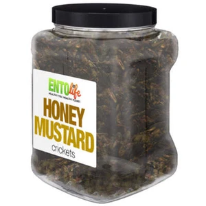Snack de cricket con sabor a miel mostaza - tamaño libra | insectos comestibles, insectos - Imagen 1 de 2