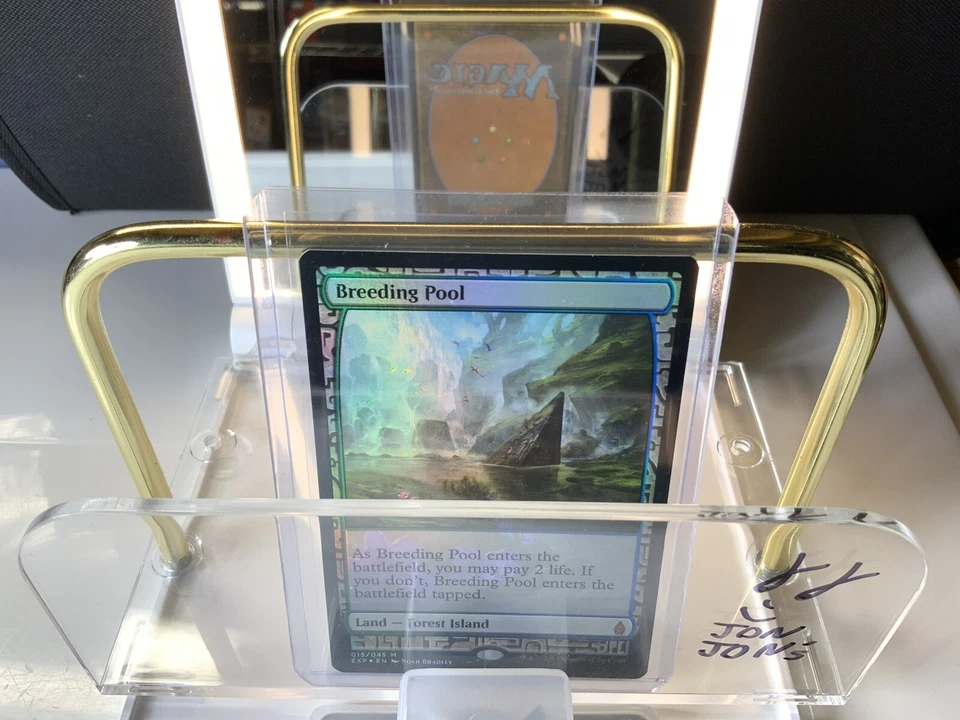 MTG FOIL Breeding Pool Full Art  - Masterpiece Series: Zendikar Expeditions NM - Image 1 of 1