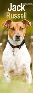 Jack Russell Slim 2026 Calendar | Slimline Dog Breed Gift 15% OFF MULTI ORDERS - Picture 1 of 8