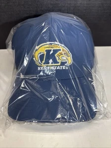Mütze Kappe Kent State University Golf blau Druckknopflasche Ping goldene Blitze Flex 110 - Bild 1 von 10