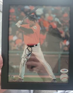  Harper Twins, Blair Tigers (RSA), Burrell Giants (MLB). Signed 8x10 - Picture 1 of 2