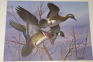1984 NORTH CAROLINA Duck Stamp Print Jim Killen with stamp - Picture 1 of 4