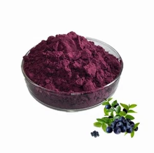 Acaiberry Extract Powder 10:1 100% Natural Fine Quality Free Shipping 200 Gram - Picture 1 of 1