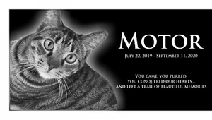 Personalized Pet Stone Memorial Grave Marker Granite Plaque Human headstone cat - Picture 1 of 24