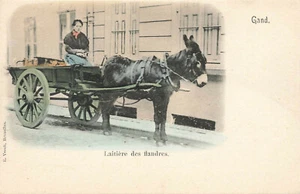 Postal de vagón tirador burro Laitiere des flandres - Imagen 1 de 2