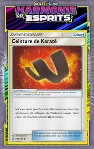 Ceinture de Karaté- SL11:Harmonie Des Esprits - 201/236 - Carte Pokemon Neuve FR - Picture 1 of 1