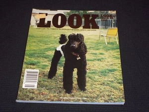 2005 APRIL LOOK LOOK MAGAZINE - YOUNG PHOTOGRAPHERS WRITERS & ARTISTS - L 8053 - Picture 1 of 2